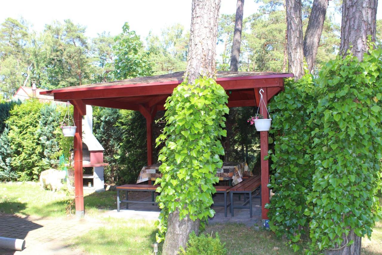Dom Pod Sosnami Bed & Breakfast Mielno  Exterior photo